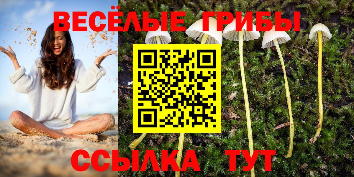 Псилоцибиновые грибы MAGIC MUSHROOMS Миасс